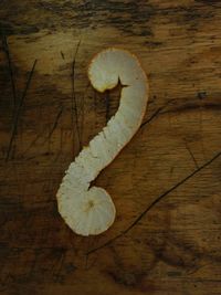 High angle view of apple on wooden floor