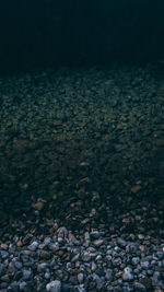 Close-up of pebbles on beach