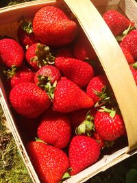 High angle view of strawberries