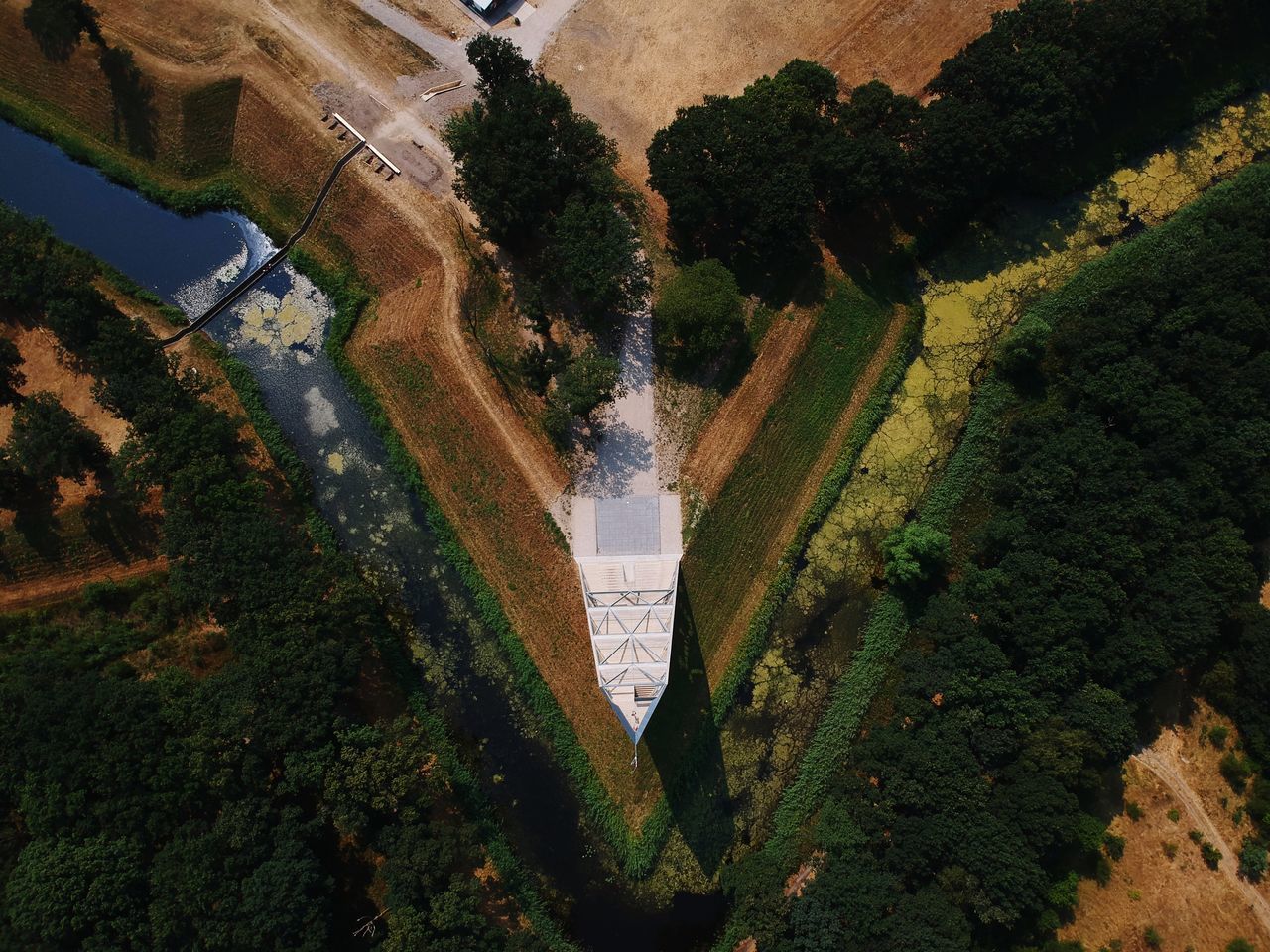 HIGH ANGLE VIEW OF TREES AND PLANTS