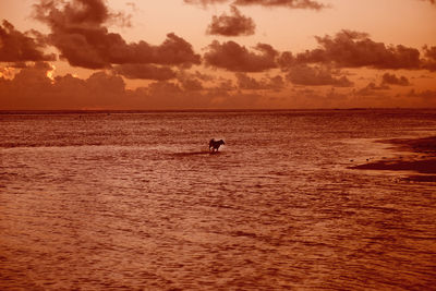 Silhouette man in sea against sky during sunset