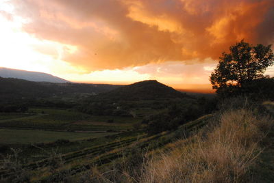 Scenic view of landscape at sunset