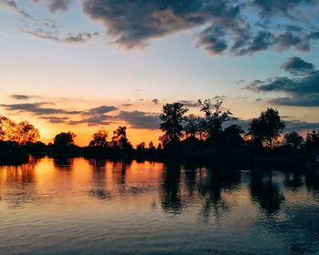 Silhouette of trees at sunset