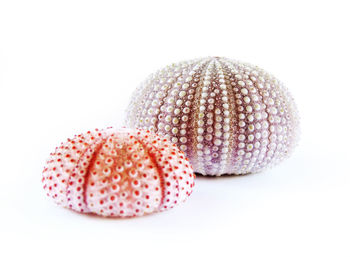 Close-up of strawberry over white background