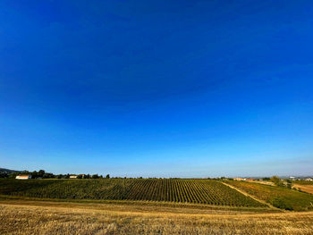 Scenic view of field against clear blue sky