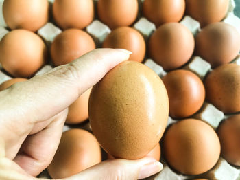 Close-up of eggs