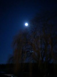 Low angle view of illuminated moon at night