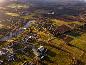 High angle view of agricultural field