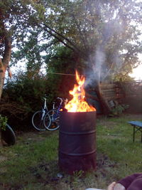 Bonfire on field against trees