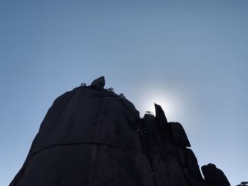 Low angle view of bird perching on rock