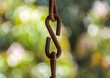 Close-up of rusty chain