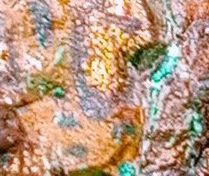 full frame, backgrounds, no people, pattern, multi colored, close-up, textured, abstract, soil, art, day, leaf, rock, outdoors, nature