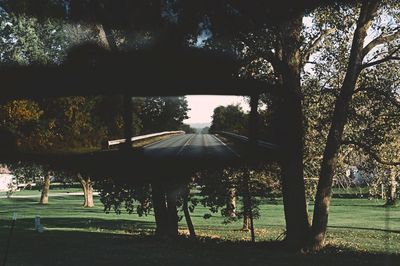 Scenic view of trees against sky