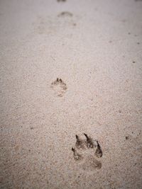 High angle view of footprints on sand