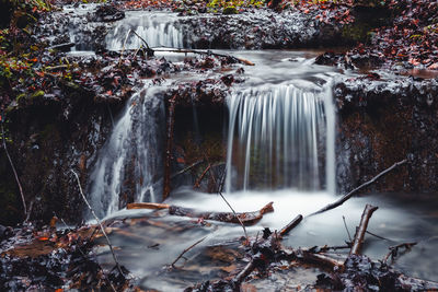 Forest creek cascades