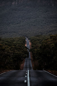 Surface level of empty road amidst trees