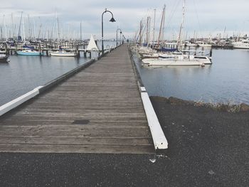 Sailboats moored at harbor
