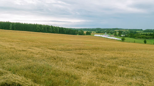 Scenic view of field against sky