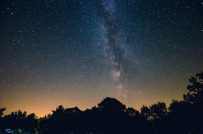 Low angle view of silhouette trees against star field at night