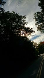 Road passing through trees