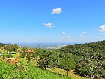 Scenic view of trees on field against blue sky