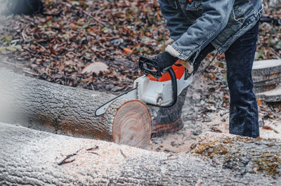 Chainsaw close-up of a woodcutter sawing a big thick trunk of a tree