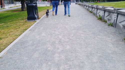 Low section of people walking on grass