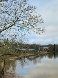 Reflection of trees in lake against sky