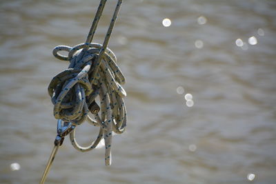 Close-up of tangled rope against sea