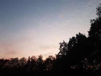 Low angle view of silhouette trees against sky during sunset