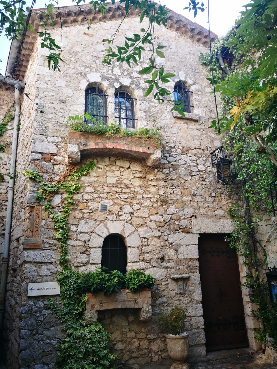 LOW ANGLE VIEW OF OLD BUILDING AND TREE