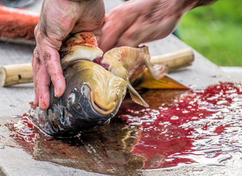 Close-up of man slicing fish on table