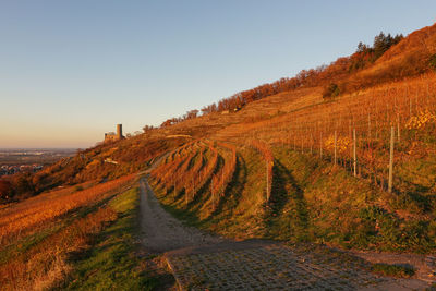 Scenic view of landscape against clear sky