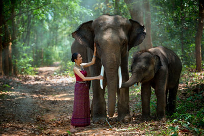 Full length of elephant standing in forest