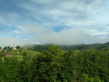 Panoramic shot of trees on landscape against sky