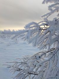 Scenic view of snow covered field against sky