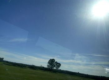 Scenic view of grassy field against sky