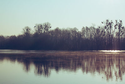 Reflection of trees in lake