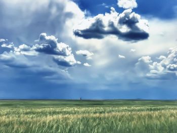 Scenic view of agricultural field against sky