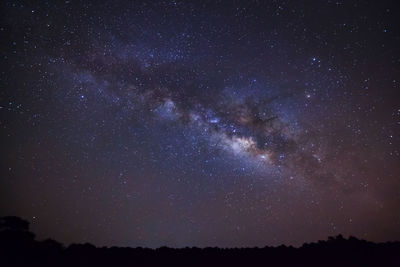 Silhouette trees against star field at night