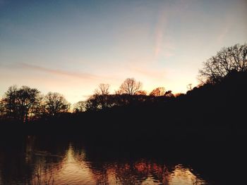 Silhouette of trees at sunset