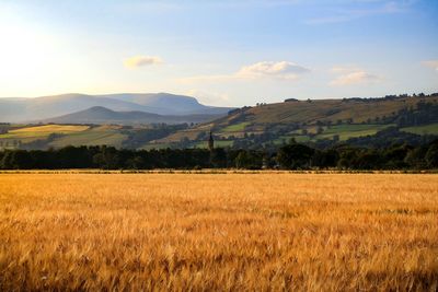 Scenic view of field against cloudy sky