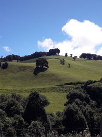 Scenic view of farm against sky