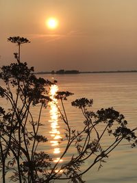 Scenic view of sea against orange sky