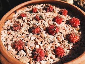 High angle view of various fruits in bowl