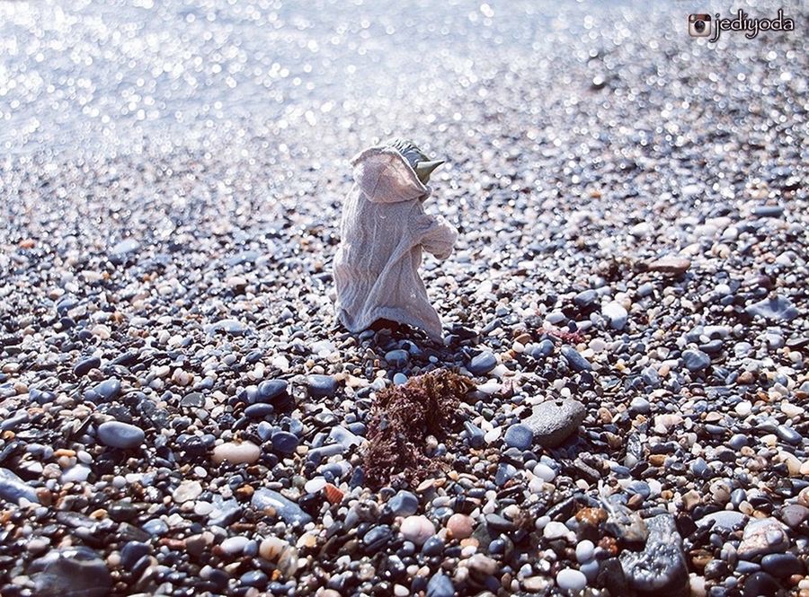 lifestyles, leisure activity, beach, pebble, stone - object, casual clothing, full length, standing, sand, childhood, outdoors, day, shore, rock - object, nature, person, sunlight, selective focus