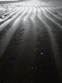 Tire tracks on wet beach