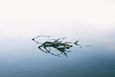 water
