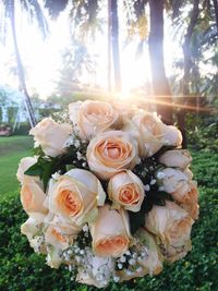 Close-up of rose bouquet