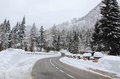 Snow covered road amidst trees against sky